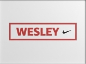 Wesleynike