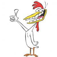 Pollo