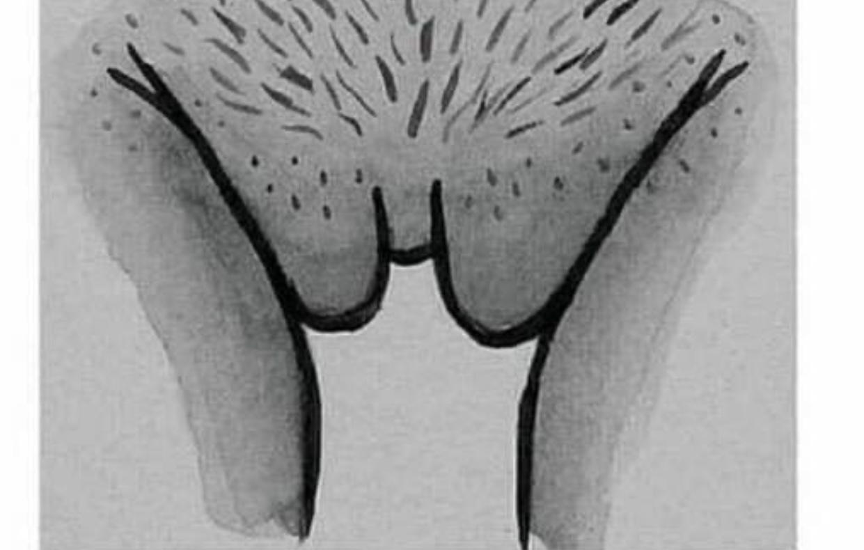314F9D94-AB8F-4504-8719-01A14B7C5E6B.jpeg