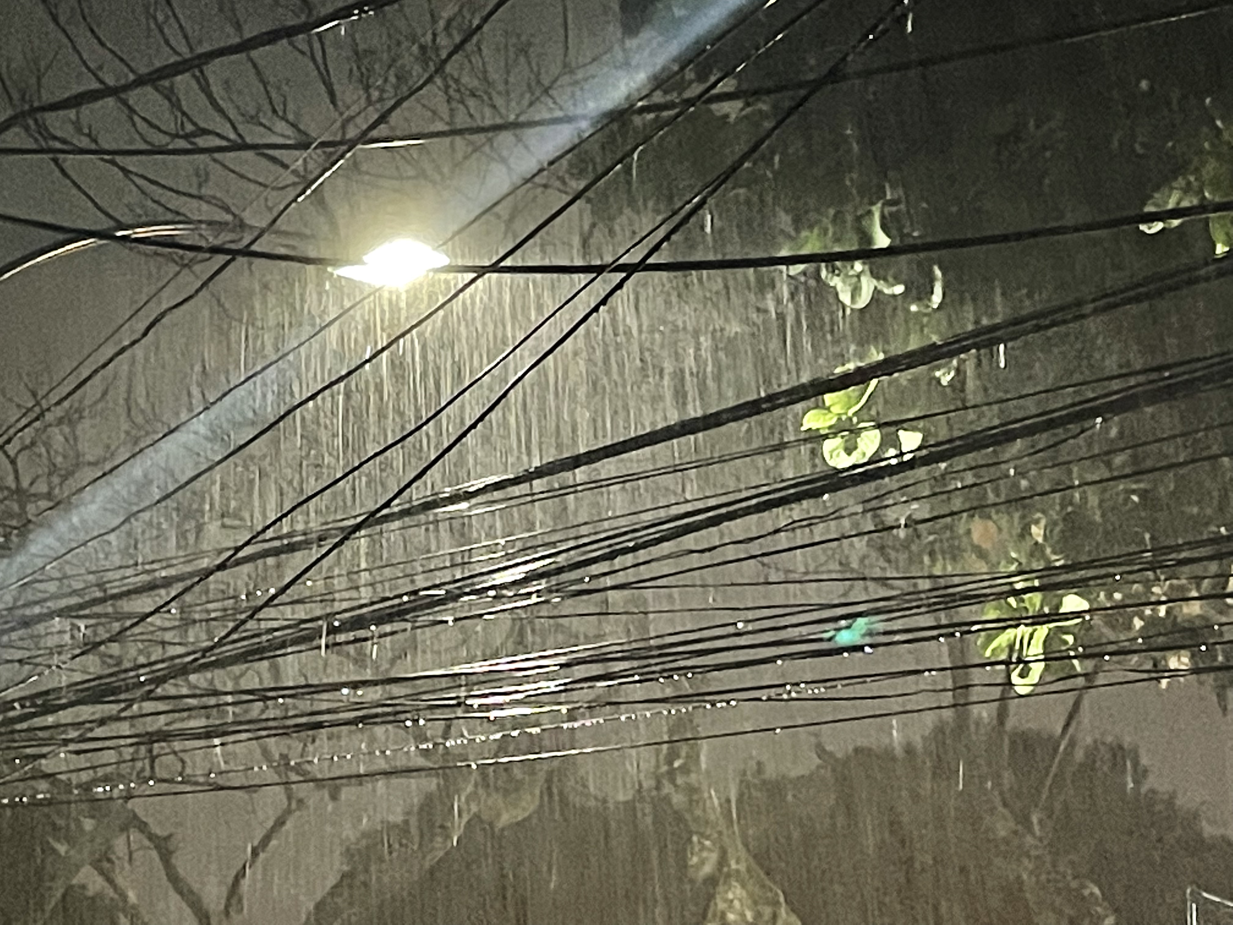 607A475E-197B-4781-B096-88D45B458F35.jpeg
