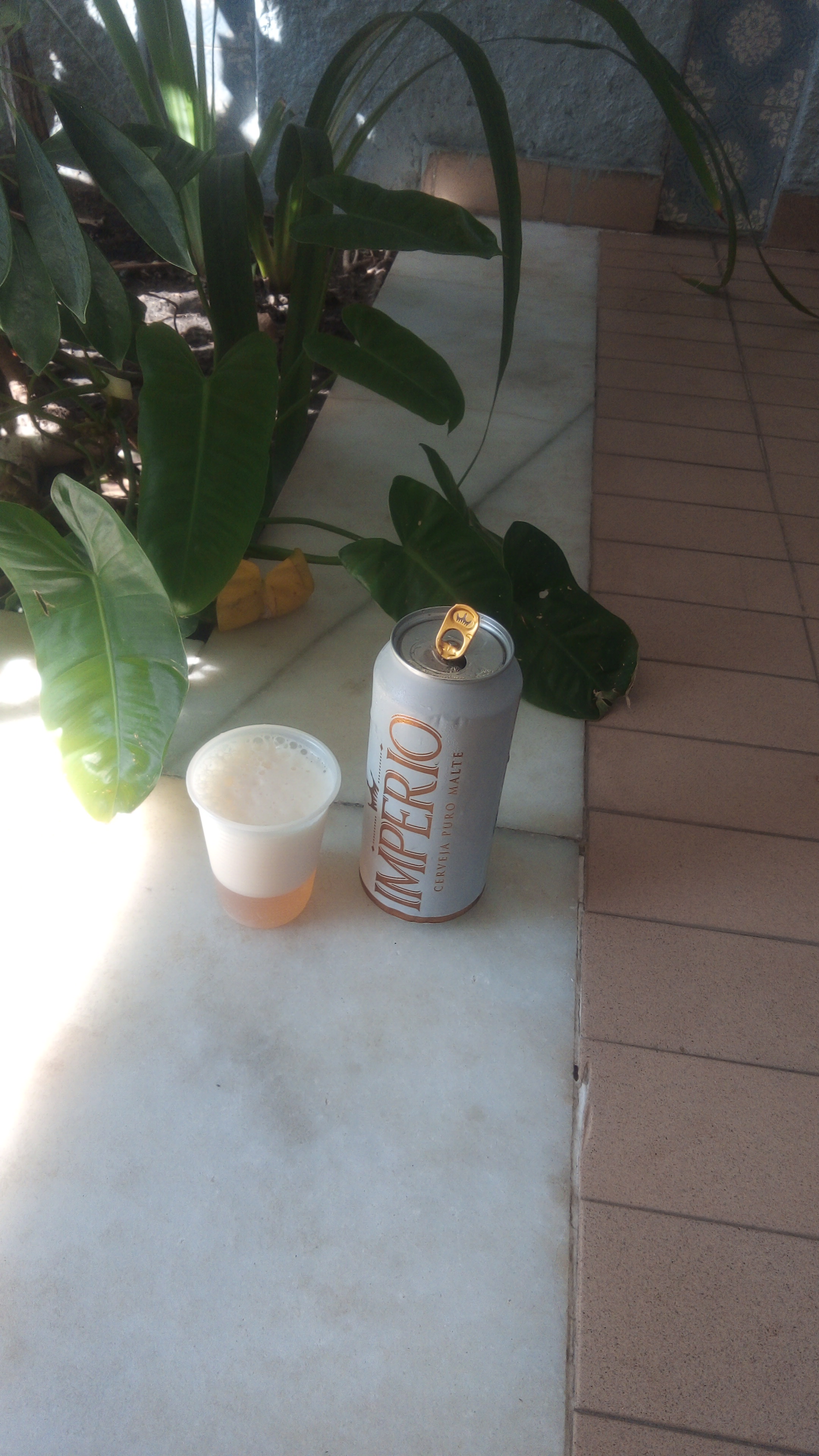 IMG-20220723-WA0011.jpeg