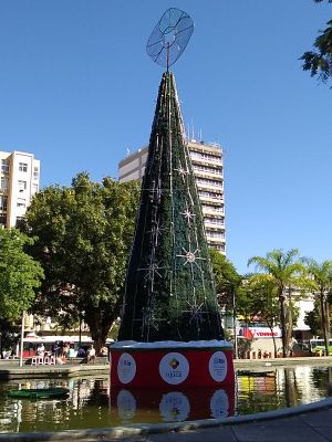 IMG_20221215_075025.jpg