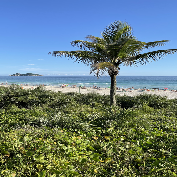 Barra da Tijuca