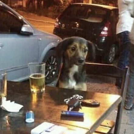 Caramelo Alone.png