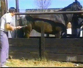 lv_0_20240302212312.gif