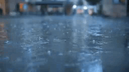 images (1).gif