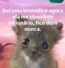 download (11).jpeg