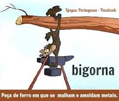 download (13).jpeg