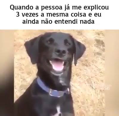 images (25).jpeg