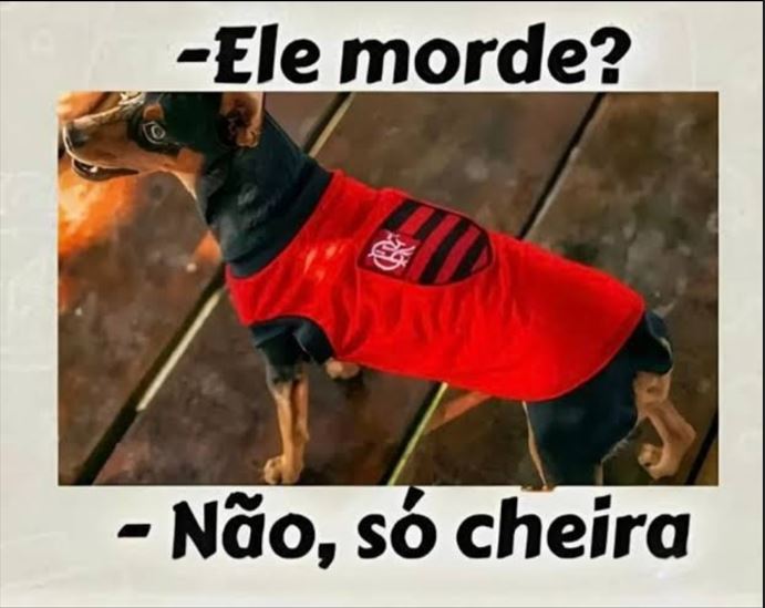 ELESOCHEIRA.jpg